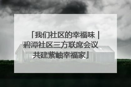 我们社区的幸福味｜碧潭社区三方联席会议共建紫岫幸福家