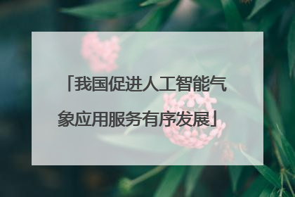 我国促进人工智能气象应用服务有序发展