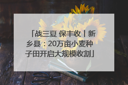 战三夏 保丰收丨新乡县：20万亩小麦种子田开启大规模收割