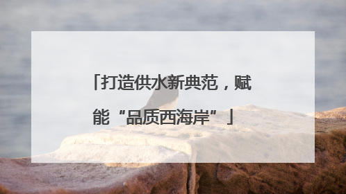 打造供水新典范，赋能“品质西海岸”
