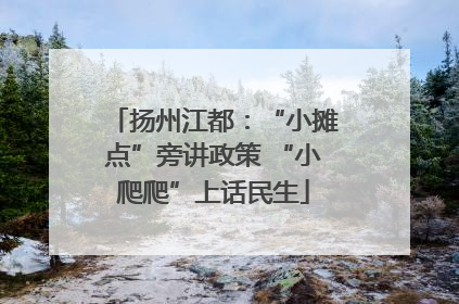 扬州江都：“小摊点”旁讲政策 “小爬爬”上话民生