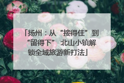 扬州：从“接得住”到“留得下” 北山小镇解锁全域旅游新打法
