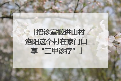 把诊室搬进山村 洛阳这个村在家门口享“三甲诊疗”