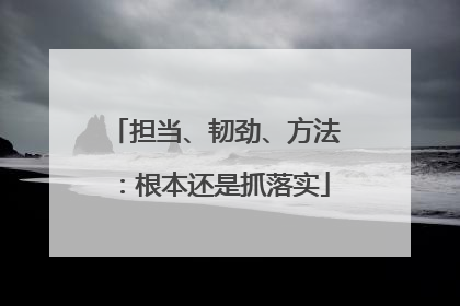 担当、韧劲、方法：根本还是抓落实