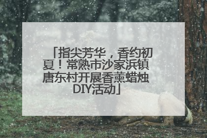 指尖芳华，香约初夏！常熟市沙家浜镇唐东村开展香薰蜡烛DIY活动