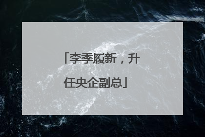李季履新，升任央企副总