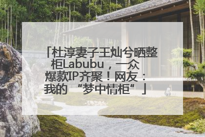 杜淳妻子王灿兮晒整柜Labubu，一众爆款IP齐聚！网友：我的 “梦中情柜”