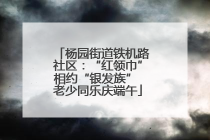 杨园街道铁机路社区：“红领巾”相约“银发族” 老少同乐庆端午
