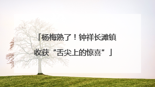 杨梅熟了！钟祥长滩镇收获“舌尖上的惊喜”