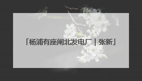 杨浦有座闸北发电厂｜张新