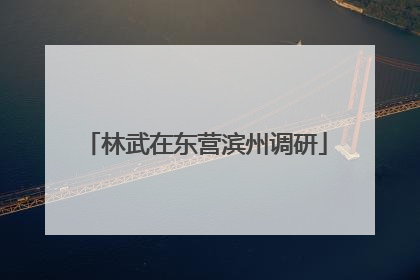 林武在东营滨州调研
