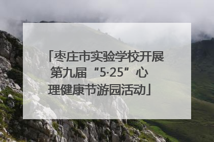 枣庄市实验学校开展第九届“5·25”心理健康节游园活动