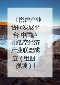 搭建产业协同发展平台 中国庐山低空经济产业联盟成立（组图｜视频）