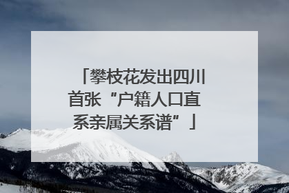 攀枝花发出四川首张“户籍人口直系亲属关系谱”