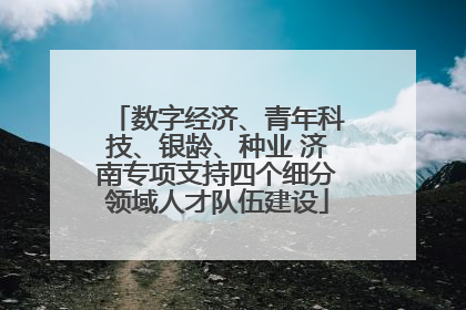数字经济、青年科技、银龄、种业 济南专项支持四个细分领域人才队伍建设