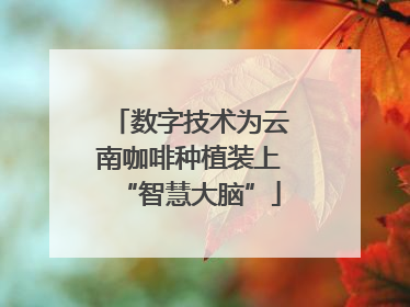 数字技术为云南咖啡种植装上“智慧大脑”