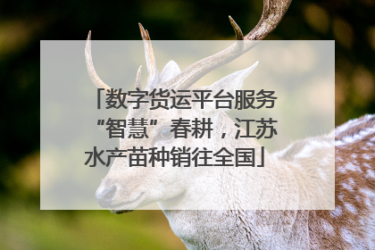 数字货运平台服务“智慧”春耕，江苏水产苗种销往全国