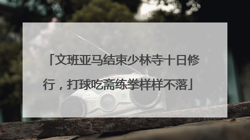 文班亚马结束少林寺十日修行，打球吃斋练拳样样不落