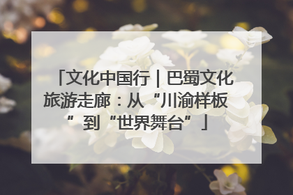 文化中国行｜巴蜀文化旅游走廊：从“川渝样板”到“世界舞台”