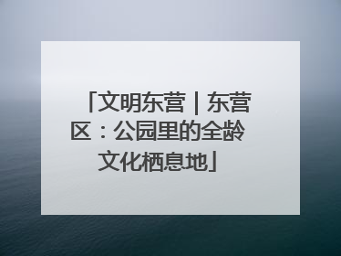 文明东营｜东营区：公园里的全龄文化栖息地