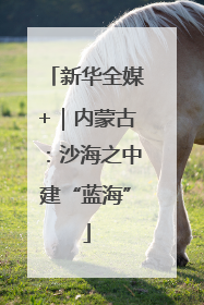 新华全媒+｜内蒙古：沙海之中建“蓝海”