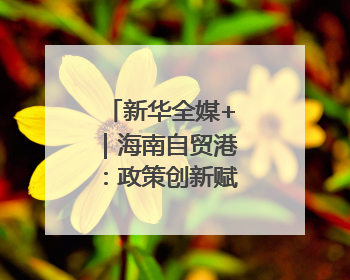 新华全媒+｜海南自贸港：政策创新赋能产业发展