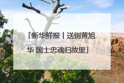 新华鲜报丨送别黄旭华 国士忠魂归故里