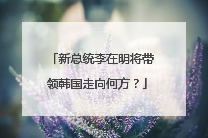 新总统李在明将带领韩国走向何方？