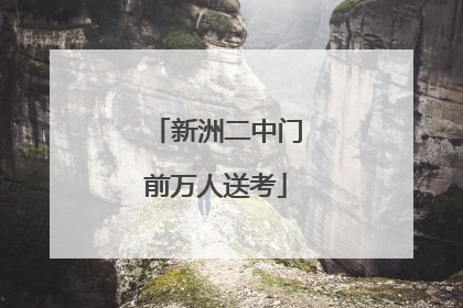 新洲二中门前万人送考