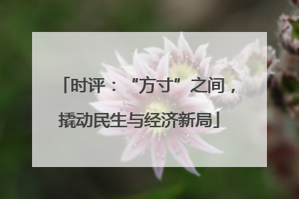 时评：“方寸”之间，撬动民生与经济新局