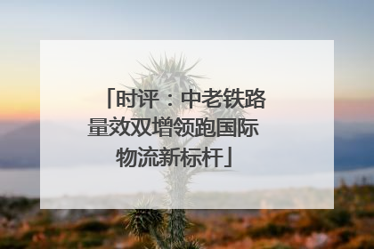 时评：中老铁路量效双增领跑国际物流新标杆
