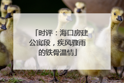 时评：海口房建公寓段，疾风骤雨的铁骨温情