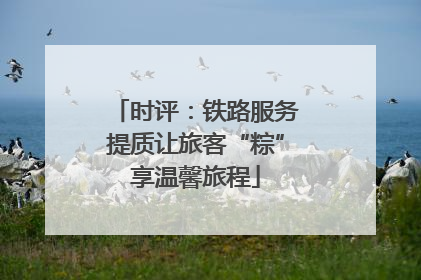 时评：铁路服务提质让旅客“粽”享温馨旅程