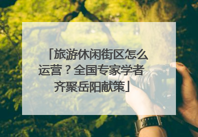 旅游休闲街区怎么运营？全国专家学者齐聚岳阳献策