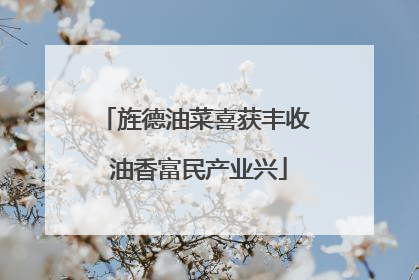 旌德油菜喜获丰收 油香富民产业兴