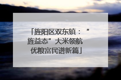 旌阳区双东镇：“旌益态”大米领航 优粮富民谱新篇