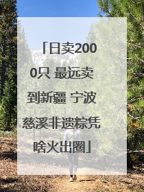 日卖2000只 最远卖到新疆 宁波慈溪非遗粽凭啥火出圈