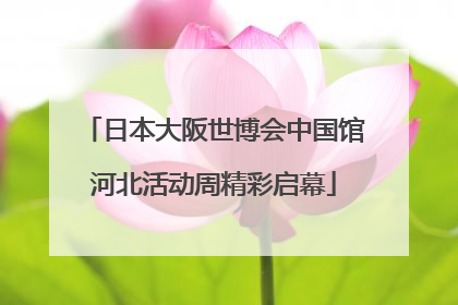 日本大阪世博会中国馆河北活动周精彩启幕