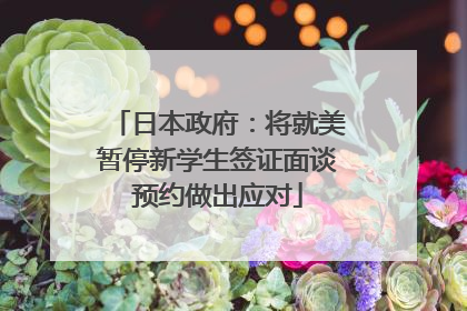 日本政府：将就美暂停新学生签证面谈预约做出应对