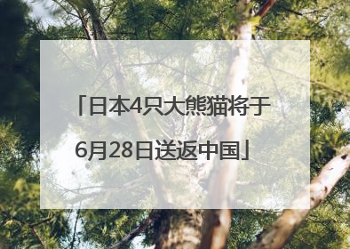 日本4只大熊猫将于6月28日送返中国