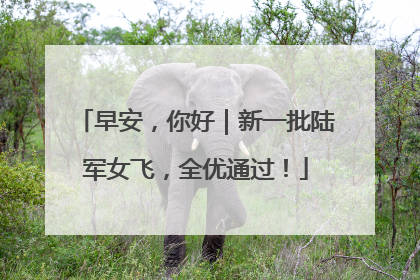 早安，你好｜新一批陆军女飞，全优通过！