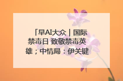 早AI大众｜国际禁毒日 致敬禁毒英雄；中情局：伊关键核设施被摧毁