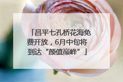昌平七孔桥花海免费开放，6月中旬将到达“颜值巅峰”