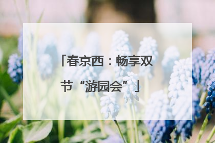春京西：畅享双节“游园会”