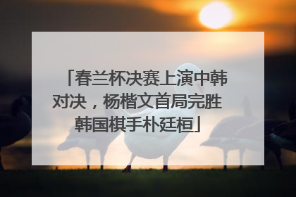 春兰杯决赛上演中韩对决，杨楷文首局完胜韩国棋手朴廷桓