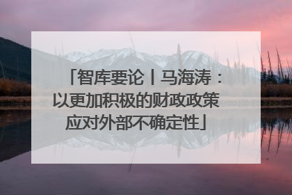 智库要论丨马海涛：以更加积极的财政政策应对外部不确定性