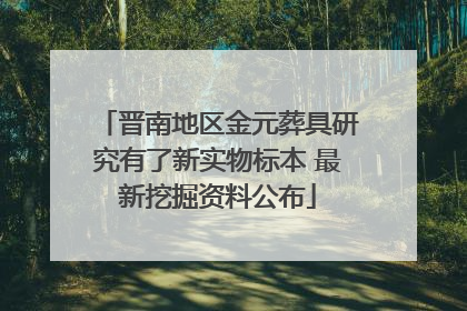 晋南地区金元葬具研究有了新实物标本 最新挖掘资料公布
