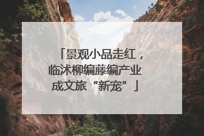 景观小品走红，临沭柳编藤编产业成文旅“新宠”