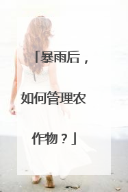 暴雨后，如何管理农作物？