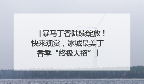 暴马丁香陆续绽放！快来观赏，冰城最美丁香季“终极大招”
